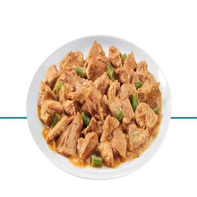 Prato branco com pedaços de comida húmida para animais de estimação em molho, com pequenos pedaços verdes visíveis.