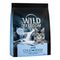 Wild Freedom Kitten "Cold River" Lachs - getreidefreie Rezeptur 400 g