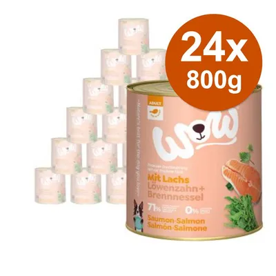24 lattine da 800 g di cibo per cani WOW con salmone, tarassaco e ortica. Testo visibile: Mit Lachs, Löwenzahn + Brennnessel, 71 %, Saumon-Salmon-Salmón-Salmone.