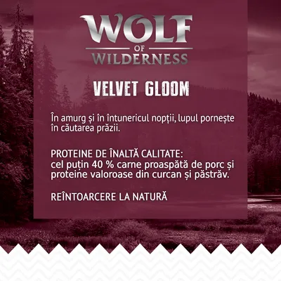 Wolf of Wilderness Velvet Gloom. Proteine de înaltă calitate: cel puțin 40 % carne proaspătă de porc, proteine din curcan și păstrăv. Reîntoarcere la natură.