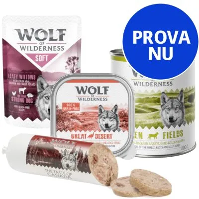 Flera Wolf of Wilderness hundfoderprodukter: Leafy Willows, Great Desert, Green Fields och The Taste of Canada. Blå cirkel med texten 'PROVA NU'.