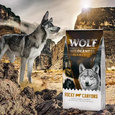 Wolf of Wilderness Elements Rocky Canyons hundfoderpåse med text: Single Animal Protein, Fresh Beef Meat, 100% Grain-Free Recipe. Bild på varg och klippiga berg i bakgrunden.