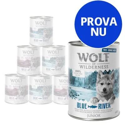 Flera burkar Wolf of Wilderness Blue River Junior våtfoder, synlig text: 100 % grain-free recipe, fresh free range chicken with salmon. Stor blå cirkel med texten PROVA NU.