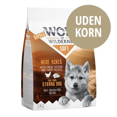 Little Wolf of Wilderness Soft Wide Acres med frisk kylling og sød kartoffel, for your strong dog, 100% grain-free recipe, uden korn, 1 kg