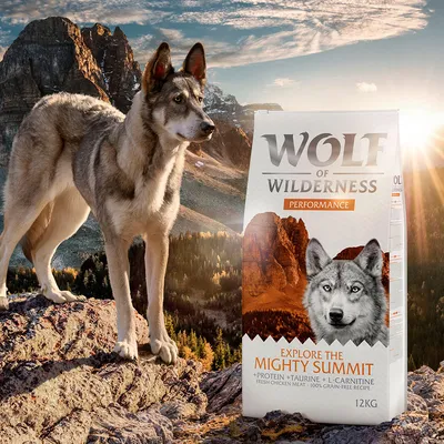 Wolf of Wilderness Performance Hundefutter, Explore the Mighty Summit, mit Protein, Taurin, L-Carnitin, frischem Hühnchenfleisch, 100% getreidefreie Rezeptur, 12kg.
