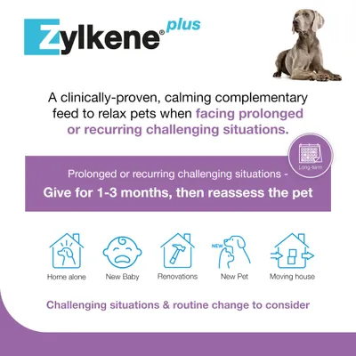 Zylkene Plus Calming Supplement 450mg for Large Dogs 15 - 60 kg - Saver Pack: 2 x 30 Capsules
