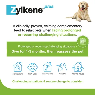 Zylkene Plus Calming Supplement 225mg for Medium Dogs 10 - 30 kg - Saver Pack: 2 x 30 Capsules