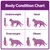 Body Condition Chart showing four categories: Underweight, Ideal, Overweight, and Obese, each with side and top view illustrations to compare body shapes.