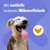 Pedigree Dentastix Tägliche Zahnpflege für kleine Hunde - 7 Stück (= 110 g)