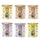 Pack mixto III (sin pescado)