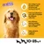 Jumbone Son Os à Mâcher, pour chiens 10–25 kg+, oméga-3, vitamine E, minéraux dont calcium, sans colorants ni arômes artificiels. Texte en français belge visible sur l’image.