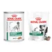 Royal Canin Vet Canine Satiety Weight Management Mousse + Satiety Snacks grátis! - Satiety Weight Management Mousse (12 x 410 g) + Satiety Snacks (3 x 230 g)