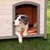Hund in einer Hundehütte aus Holz mit orangefarbenem Innenpolster, auf grünem Gras stehend.