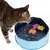 Tabbykat ved blå plastikbassin med tre farvede flydende legetøjsfigurer i form af fisk og stjerne. Katten kigger ned i bassinet.