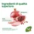 Componenti: pollo senza antibiotici né ormoni, melagrana. Proteine di alta qualità, accuratamente selezionate per un pasto equilibrato. Logo N&D Prime visibile. Componenti: pollo senza antibiotici né ormoni, melagrana. Proteine di alta qualità, accuratamente selezionate per un pasto equilibrato. Logo N&D Prime visibile.