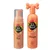 Pet Head Quick Fix - 2-teiliges Set (Schaum, Shampoo)