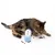 Braun gestreifte Katze spielt mit einem blauen Futterspender, aus dem Trockenfutter herausfällt.