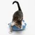 Jonge kat speelt met een blauw pluchen speeltje. Demonstratie van het gebruik van een kattenspeeltje.