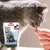 Beaphar Zahnies dental care snack without added sugar. Cat eats snack from hand. Packaging shows grey cat with text 'Zahnpflegender Snack'.