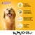 Jumbone, Omega 3, Vitamin E, kalcium, mesterséges színezék és aroma nélkül. Közepes és nagytestű kutyáknak: 10–25 kg+. A szöveg angol nyelvű.