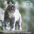 Wild Freedom. Follow Your Cat's Instincts.