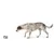 Dog approaching a metal food bowl, demonstrating product use for feeding.
