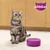 Seated grey-black striped cat next to a purple bowl, Whiskas logo with cat head symbol in the top right corner.