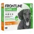 Frontline Combo Spot-On Hond S - 2-10 kg - 6 Pipetten x 0,67 ml