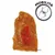 8in1 Fillets Pro Active
