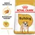 Royal Canin Adult Bulldog torrfoder, text: Skräddarsytt torrfoder, Reducerad lukt, bild på bulldogg och foderbit. Breed Nutrition syns till vänster. Royal Canin Adult Bulldog torrfoder, text: Skräddarsytt torrfoder, Reducerad lukt, bild på bulldogg och foderbit. Breed Nutrition syns till vänster.