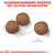 Texte en allemand : MASSGESCHNEIDERTE REZEPTUR MIT AKTIVEN NÄHRSTOFFEN. Trois croquettes rondes, échelle de taille avec repère 1 cm.