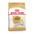 Royal Canin Labrador Retriever Adult 5+