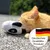 Červený kocour si hraje s panda hračkou. Pečeť s německou vlajkou a textem: Deutsches Qualitäts-Produkt.