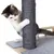 Cat using a scratching post with sisal-wrapped column and grey wooden base.