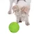 Hund untersucht grünen Spielball mit geprägten Pfoten- und Knochenmustern. Ball dient als interaktives Hundespielzeug.