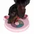 Dog playing with pink intelligence toy made of rotating compartments featuring bone motifs.
