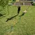 Frau führt Hund durch einen Parcours aus abwechselnd orange und blauen Stangen auf einer Wiese, demonstriert Trainings- oder Agility-Set für Hunde.