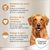 Concept for Life Golden Retriever Adult