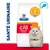 Hill's Prescription Diet c/d multicare stress, cliniquement prouvé : calculs de struvite dissolvables en 7 jours. Mention « Santé urinaire » à gauche. Hill's Prescription Diet c/d multicare stress, cliniquement prouvé : calculs de struvite dissolvables en 7 jours. Mention « Santé urinaire » à gauche.