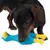 Hond speelt met blauw hondenspeelgoed in de vorm van een vogel met gele snavel en gele poten.