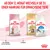 Royal Canin Empfehlung: Ab dem 12. Monat wechseln Sie zu einer Nahrung für erwachsene Tiere. Produkte: Kitten Sterilised, Maine Coon Adult, Home Life Indoor 27.