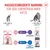 Royal Canin Kitten Sterilised Royal Canin Kitten Sterilised