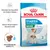 Royal Canin Starter Mini Mother & Babydog, 1-2 meseca. Podpira zdravje psice in mladičev, močna naravna odpornost, rehidrirajoči briketi.