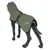 Manteau vert pour chien sur mannequin, marque rukka visible, fermeture à clip et détails réfléchissants.