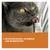 Энергетическая паста GimCat