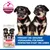 Hill's Science Plan Perfect Digestion Puppy <1 Medium mit Huhn & braunem Reis