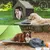 Multifunctionele 2-in-1 honden tent en hondenbed, geschikt voor buitenactiviteiten. Afgebeeld zijn honden in een tent en op een verhoogd bed met accessoires zoals voerbakken.