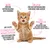 Schesir Kitten Ziegenmilch Schesir Kitten Ziegenmilch