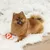 beeztees Christmas Lollipop Dog Toy – Red/White - 25 x 12 x 5 cm (L x W x H) beeztees Christmas Lollipop Dog Toy – Red/White - 25 x 12 x 5 cm (L x W x H)