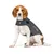 Dog wearing grey ThunderShirt with visible ThunderShirt and patch logos on side and neck. Fabric material clearly shown. No other accessories or text visible.